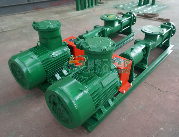 Drilling Fluid Screw Pump Shipment Malaysia Well Drilling Project